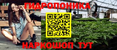стафф Гусиноозёрск