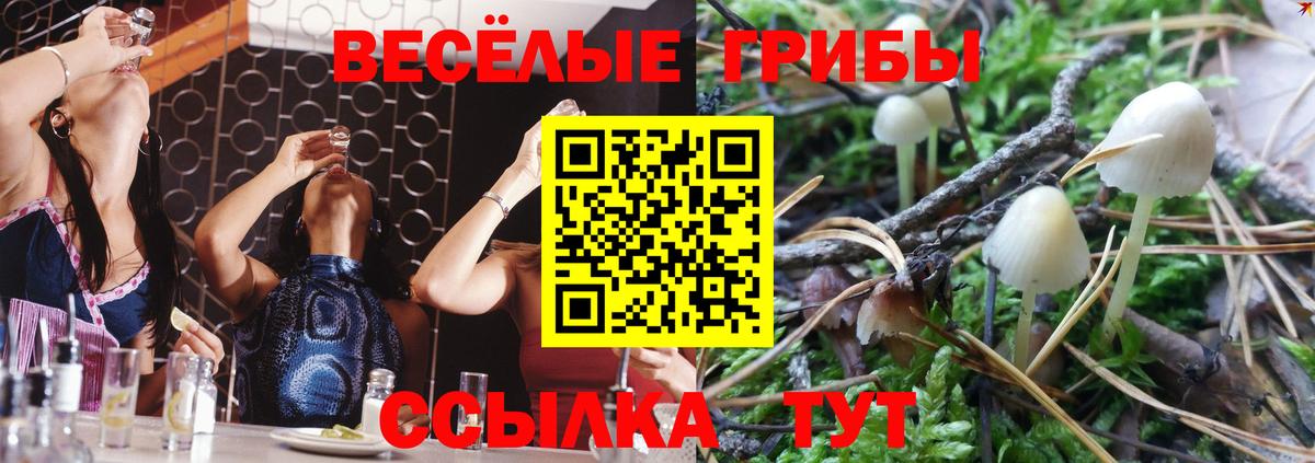 Псилоцибиновые грибы MAGIC MUSHROOMS  Вход с VPN  Новочебоксарск 